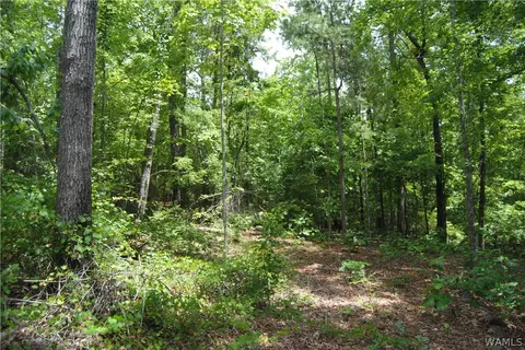 00 County Lake Rd, Sulligent, AL 35586 photo 4