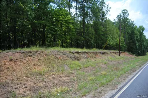 00 County Lake Rd, Sulligent, AL 35586 photo 12