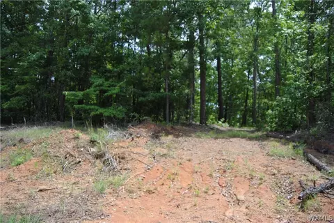 00 County Lake Rd, Sulligent, AL 35586 photo 7