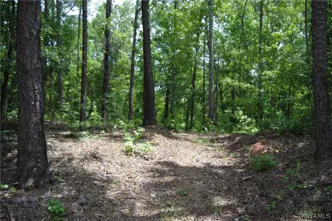 00 County Lake Rd, Sulligent, AL 35586 photo 5