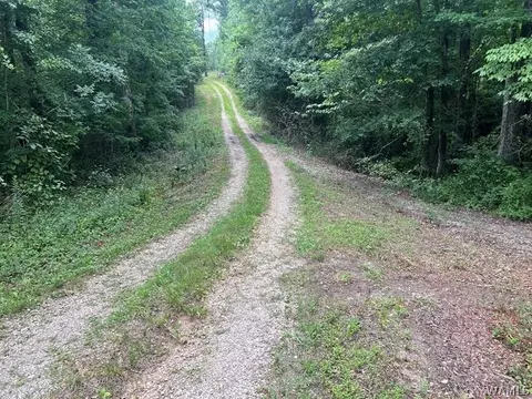 0 Rockhouse Rd, Brookwood, AL 35444