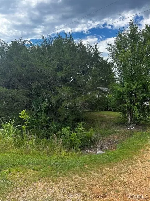 5696 Co Rd 28, Sawyerville, AL 36776