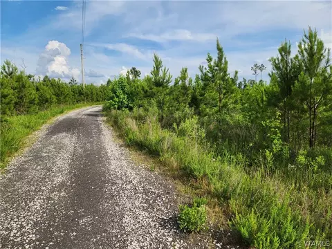 1 Mildale Rd, Brookwood, AL 35444