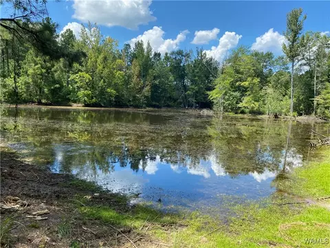 00 Co Rd 57, Demopolis, AL 36732