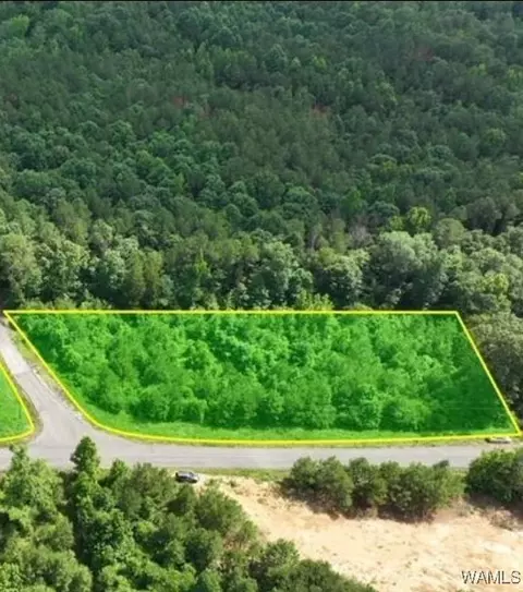 15 Skeet Davidson Rd, Reform, AL 35481