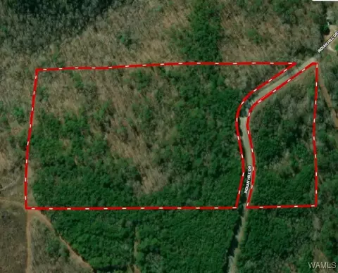 0 Indian Hill Dr, Woodstock, AL 35188