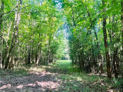 0 Hwy 11, York, AL 36925