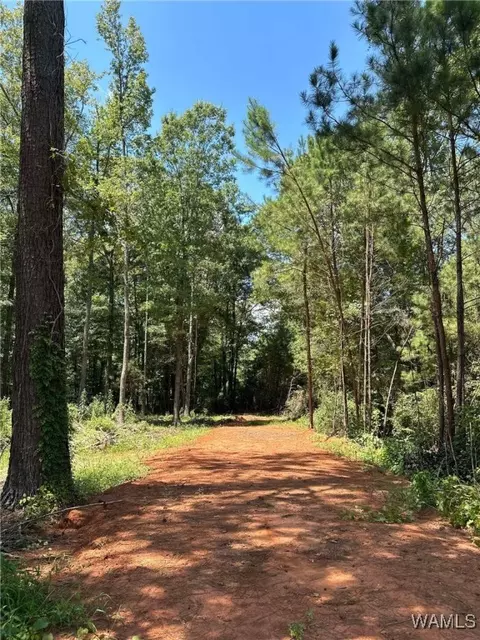 193 6th St, Reform, AL 35481