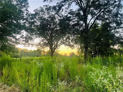 12000 Payneville 12, Livingston, AL 35470