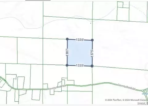 Undisclosed, Other, AL 36750