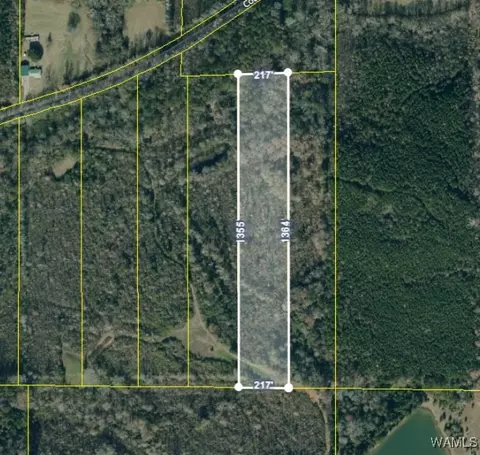 0 County Rd, Hale, AL 35441