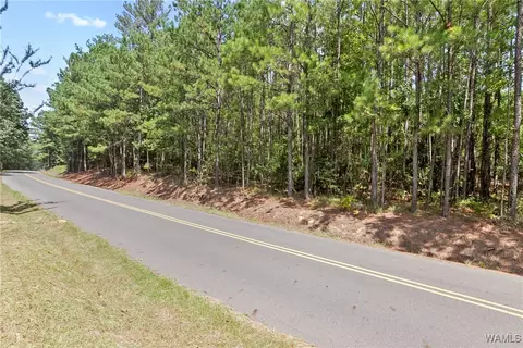 0 Bear Creek Rd, Duncanville, AL 35456