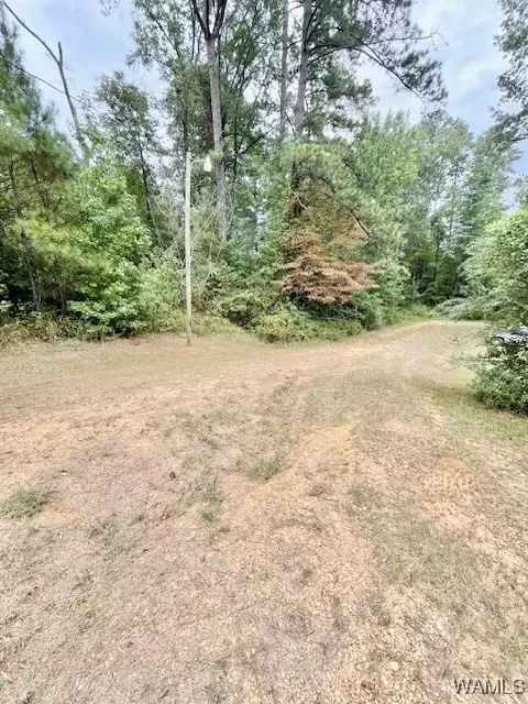  6734 County 29 Rd, Moundville, AL 35474 photo 24