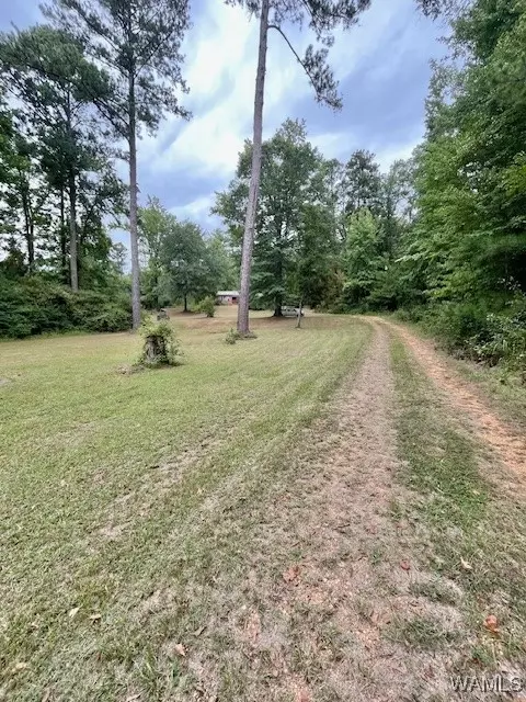  6734 County 29 Rd, Moundville, AL 35474 photo 28