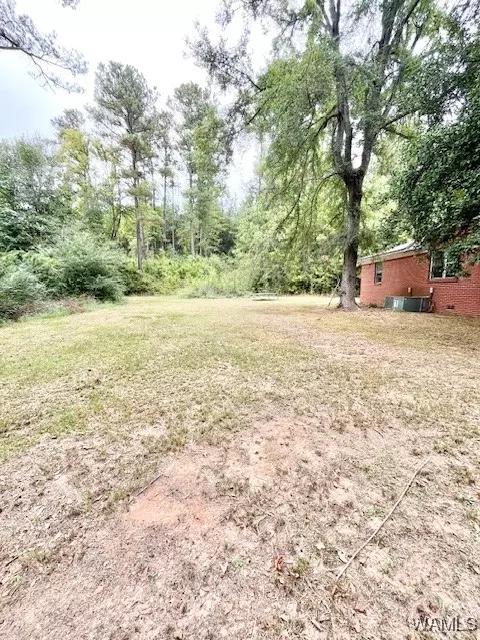  6734 County 29 Rd, Moundville, AL 35474 photo 23