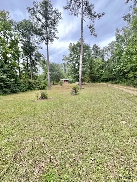  6734 County 29 Rd, Moundville, AL 35474 photo 30