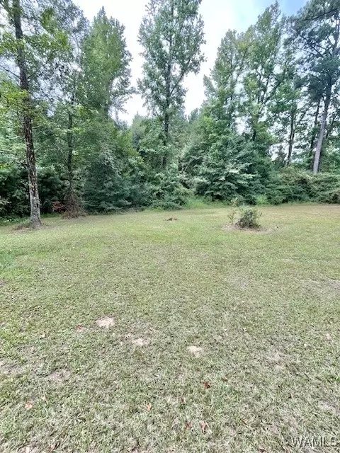  6734 County 29 Rd, Moundville, AL 35474 photo 29