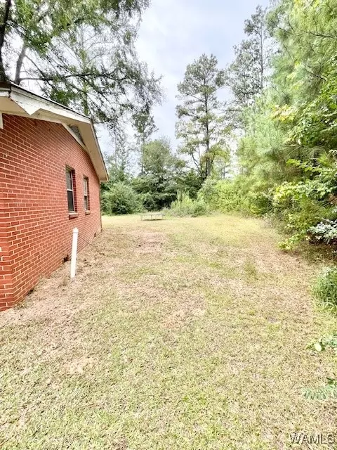  6734 County 29 Rd, Moundville, AL 35474 photo 26
