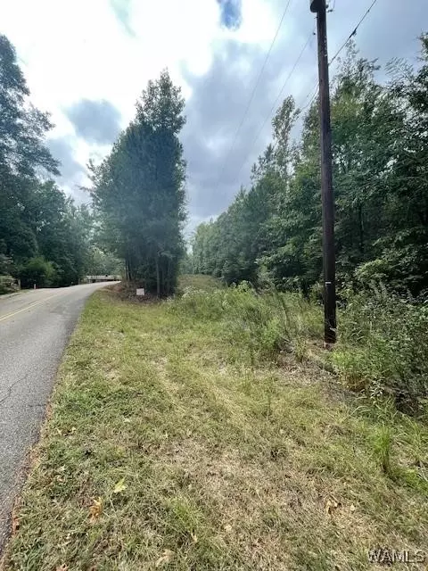 0 Lake Judson Rd, Cottondale, AL 35453