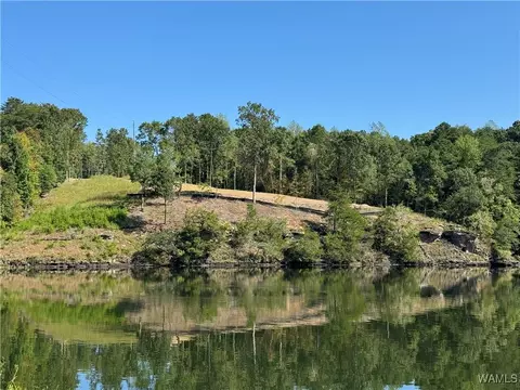 14010 Creek View Dr, Northport, AL 35475