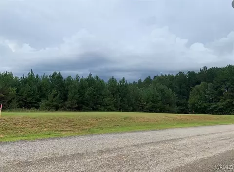 00 Gilliam Rd, Berry, AL 35546