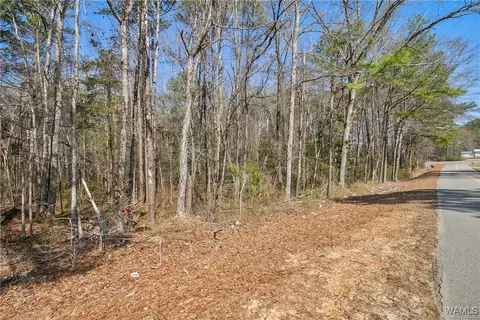 0 Brady Montgomery Rd, Northport, AL 35475