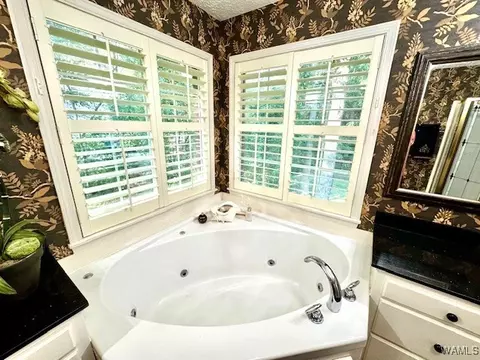Bath - 1415 Forest Brook Dr, Demopolis, AL 36732 photo 4 of 7