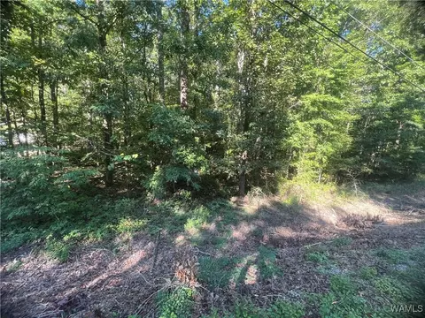 0 Sylvia Dr, Mc Calla, AL 35111 photo 2