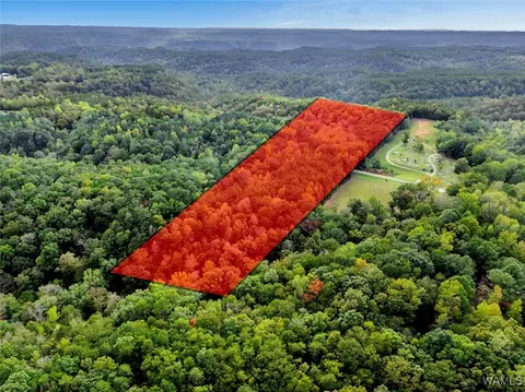 00 Patton Hill Rd, Oakman, AL 35579