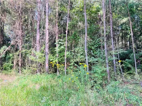 0 Bluffport Rd, Livingston, AL 35470