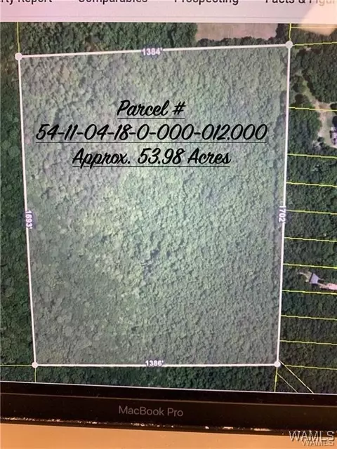 0 County Road 9, Gordo, AL 35466