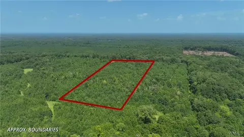 00000 Federation, Gainesville, AL 35456
