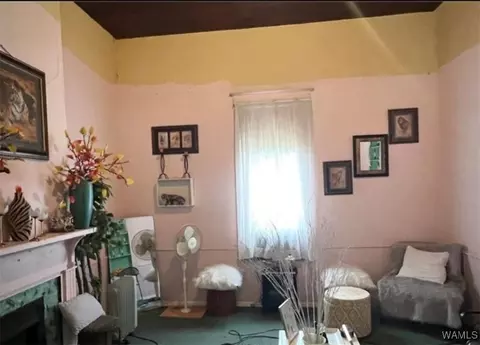 Other - 301 Eutaw Ave, Eutaw, AL 35462 photo 2 of 7