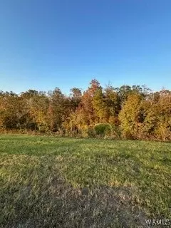 lot135 Black Warrior Blvd, Akron, AL 35441