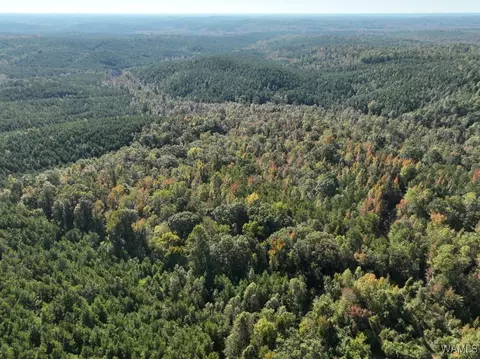 3 County Rd 29, Moundville, AL 35474