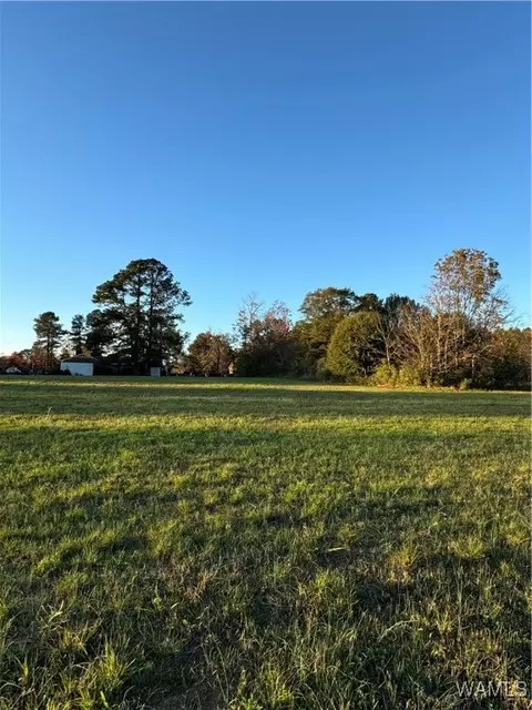 0 Krout St, Brent, AL 35034