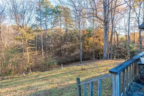 Exterior - 7421 Highway 269, Parrish, AL 35580 photo 10 of 21