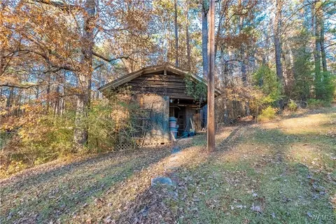Exterior - 7421 Highway 269, Parrish, AL 35580 photo 9 of 21