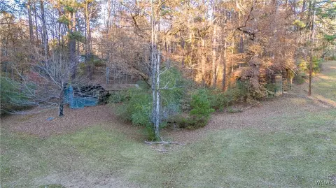 Exterior - 7421 Highway 269, Parrish, AL 35580 photo 20 of 21