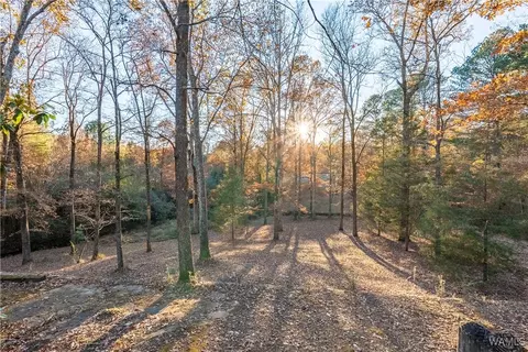 Exterior - 7421 Highway 269, Parrish, AL 35580 photo 15 of 21