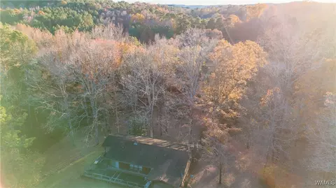 Other - 7421 Highway 269, Parrish, AL 35580 photo 13 of 14