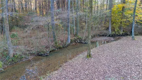 View/Area - 7421 Highway 269, Parrish, AL 35580 photo 1 of 3