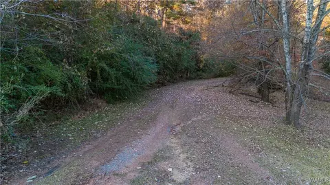 Other - 7421 Highway 269, Parrish, AL 35580 photo 6 of 14