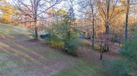 Exterior - 7421 Highway 269, Parrish, AL 35580 photo 18 of 21