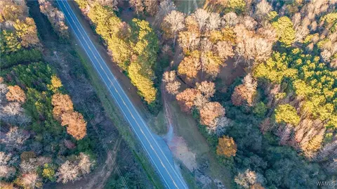 Other - 7421 Highway 269, Parrish, AL 35580 photo 11 of 14