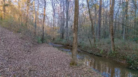 View/Area - 7421 Highway 269, Parrish, AL 35580 photo 2 of 3