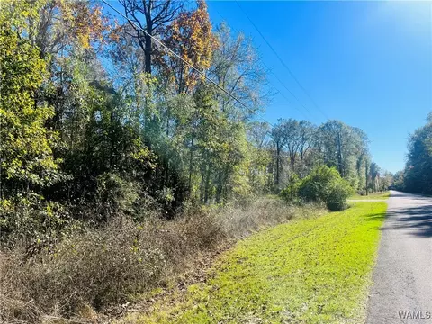 lot Apt 17 Roebuck Landing Rd, Akron, AL 35441