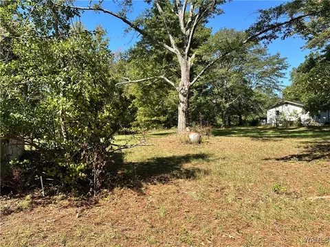 262 Rt 3 #BOX 262, Eutaw, AL 35462 photo 2