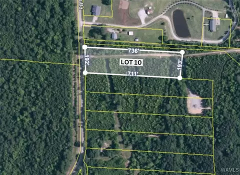 910 John Swindle Rd, Northport, AL 35475
