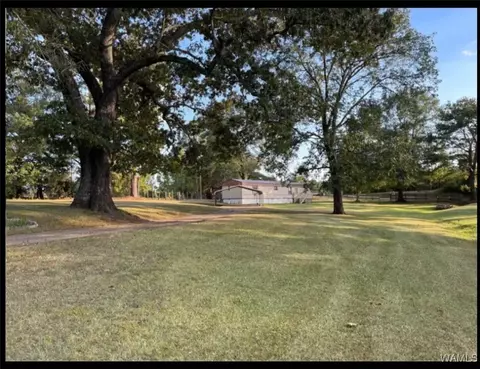 14857 Kepple Loop, Coaling, AL 35453 photo 2